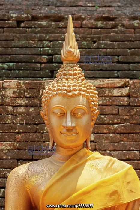 : Chiang Mai, Thailand. Wat Lok Moli. Buddha statue : Chiang Mai, Thailand. Wat Lok Moli. Buddha statue