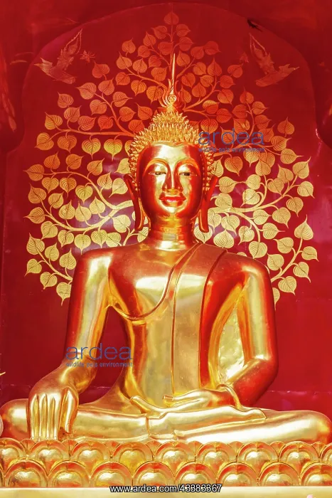 : Chiang Mai, Thailand. Wat Phan On. Buddha statue : Chiang Mai, Thailand. Wat Phan On. Buddha statue