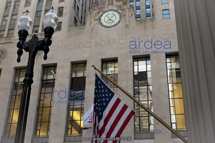  : Chicago Board of Trade Building in Chicago Loop, Art Deco