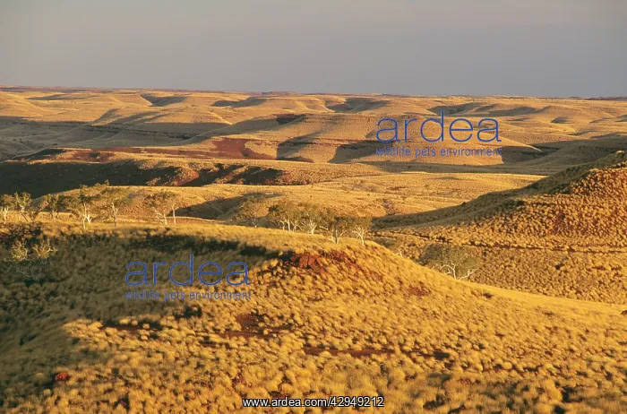 : Chichester Range : Chichester Range
