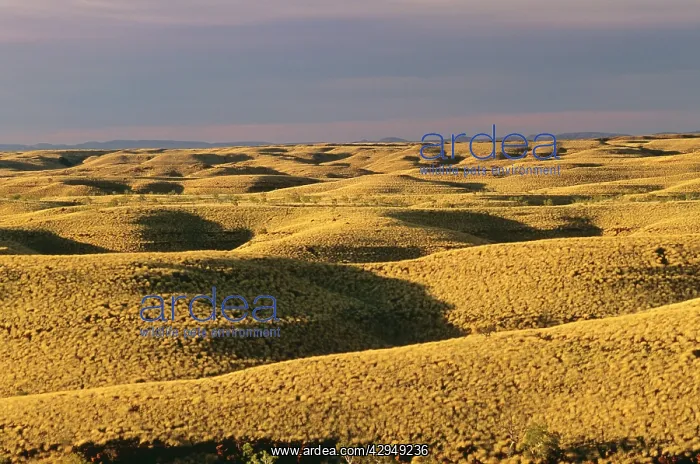 : Chichester Range : Chichester Range