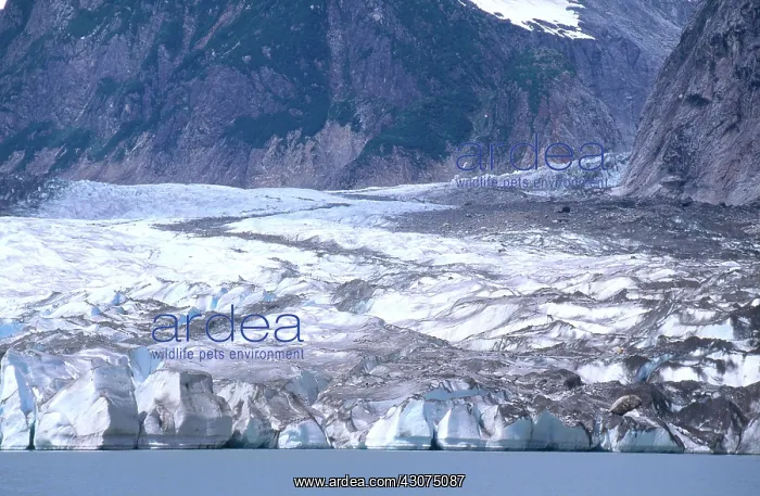 : Chief Shakes Glacier : Chief Shakes Glacier