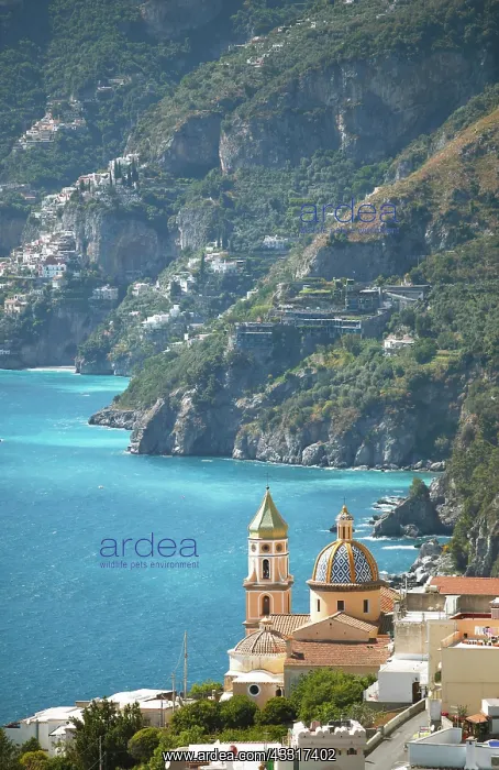 : Chiesa Parrocchiale San Gennaro, Praiano, Amalfi : Chiesa Parrocchiale San Gennaro, Praiano, Amalfi
