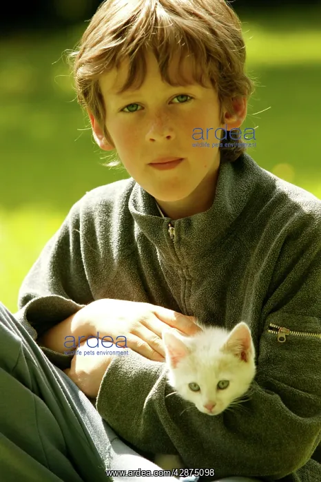 : Child & Cat - Boy with Kitten in arms : Child & Cat - Boy with Kitten in arms