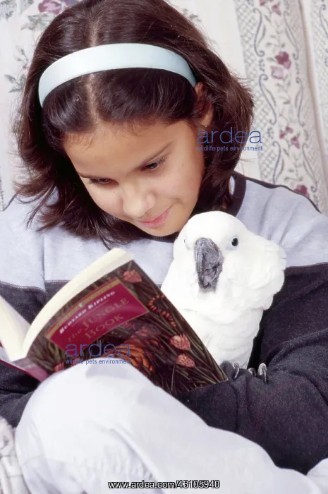 : Child and Her Cockatoo : Child and Her Cockatoo