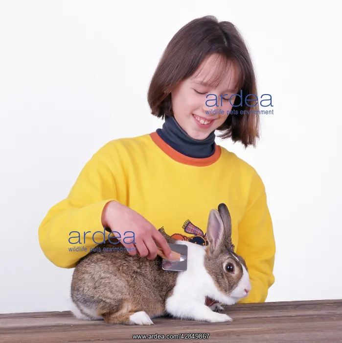  : Child grooming Rabbit