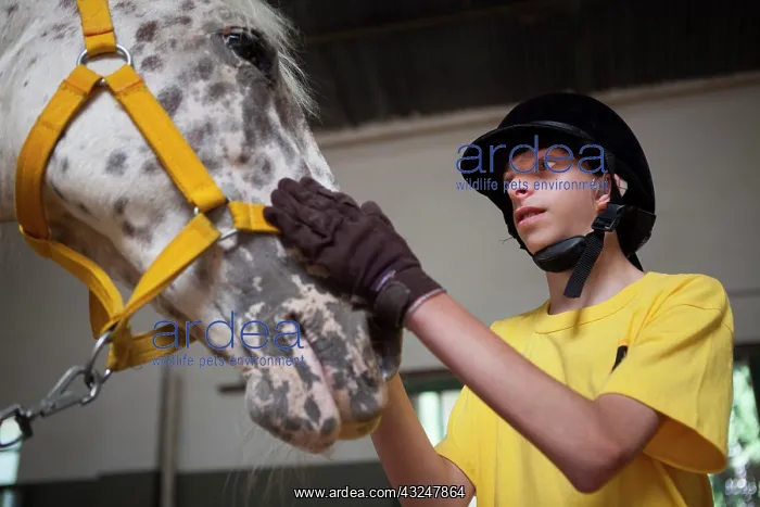 : Child and horse in a horse therapy center - Argentina : Child and horse in a horse therapy center - Argentina