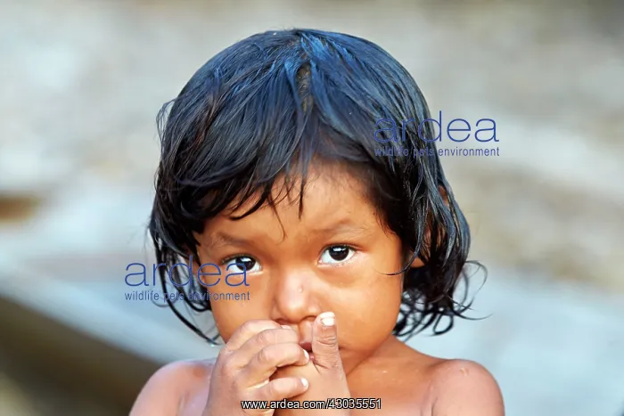 : Child Indian of the Apurina tribe Amazon river basin : Child Indian of the Apurina tribe Amazon river basin