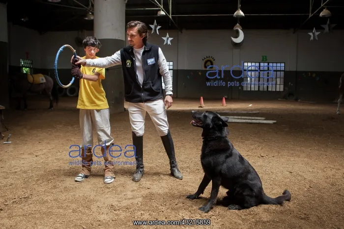  : Child listening to the instructions of trust with a dog