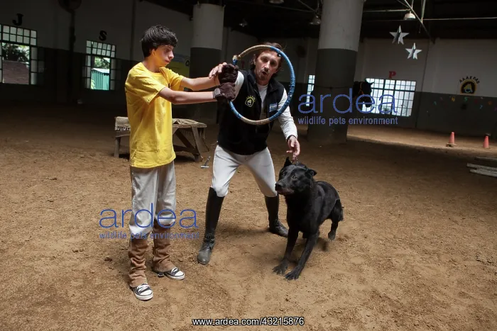 : Child making a trust exercise with a dog - Argentina : Child making a trust exercise with a dog - Argentina