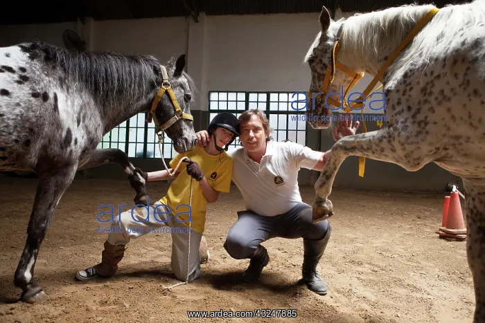 : Child and monitor posing with horses in balance : Child and monitor posing with horses in balance