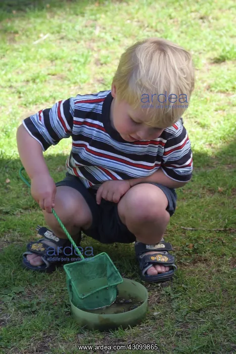 : Child with a Net : Child with a Net
