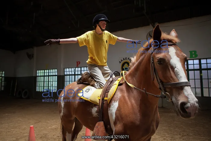 : Child performing a balancing act on a horse : Child performing a balancing act on a horse