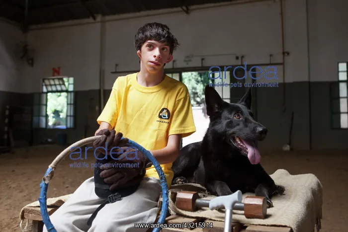 : Child suffering from paralysis and dog after exercise : Child suffering from paralysis and dog after exercise