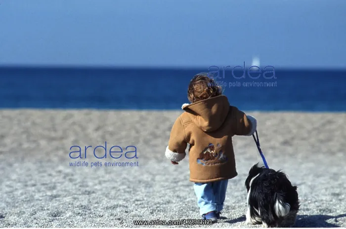 : CHILD - walking on beach : CHILD - walking on beach