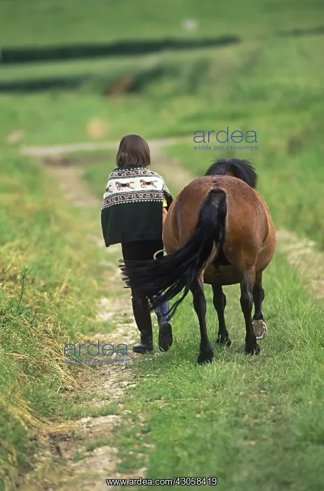 : Child walking with her pony on a path : Child walking with her pony on a path