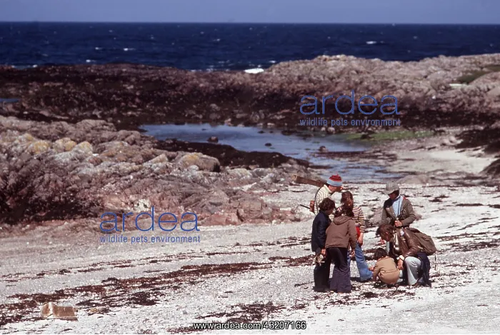 : Children - on a beach walk : Children - on a beach walk