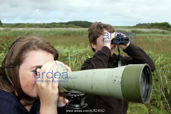 : Children birdwatching - looking through telescope : Children birdwatching - looking through telescope