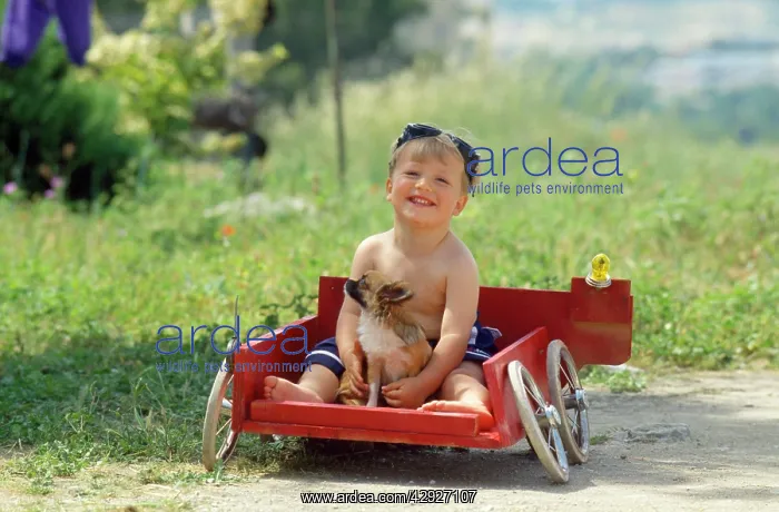  : Children - boy in cart with dog
