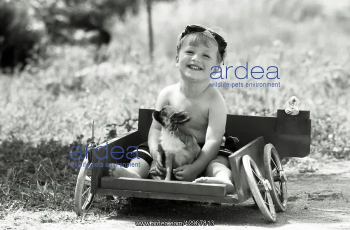  : Children - boy in cart with dog