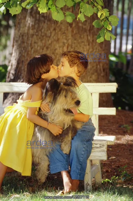 : Children - boy, girl & dog under tree : Children - boy, girl & dog under tree
