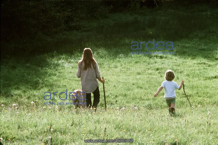 : CHILDREN - boy and girl walking dog in meadow : CHILDREN - boy and girl walking dog in meadow
