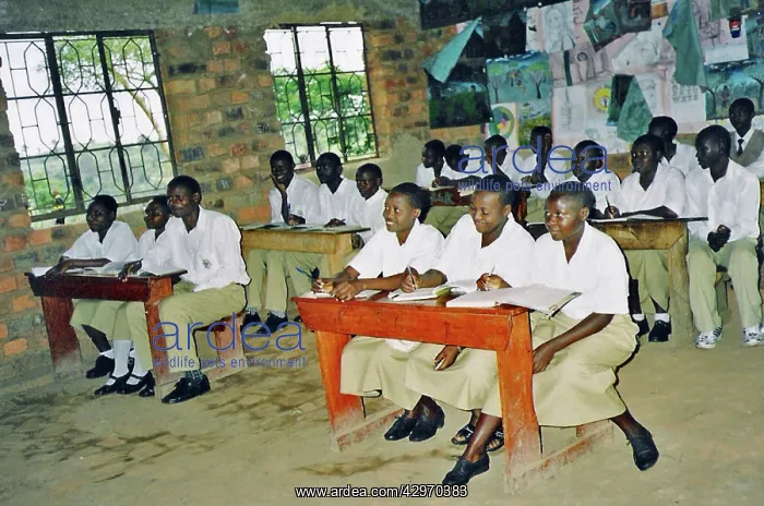 : Children at Equatorial College School : Children at Equatorial College School