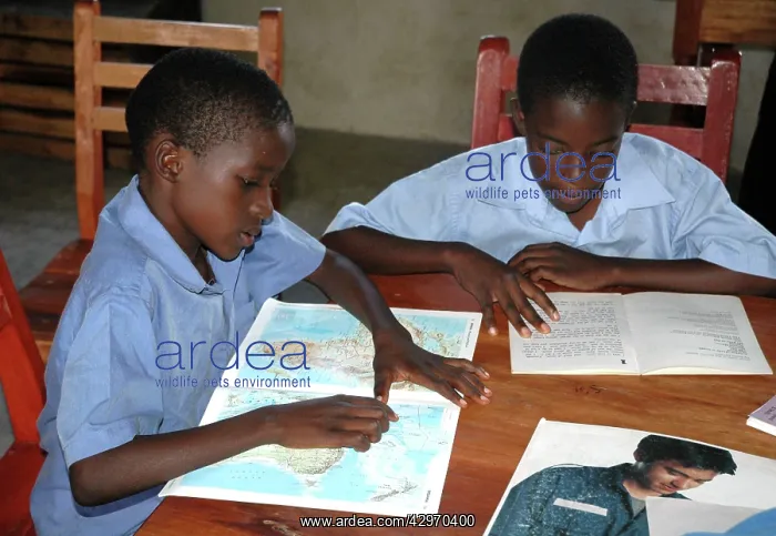 : Children at Equatorial College School - reading books : Children at Equatorial College School - reading books