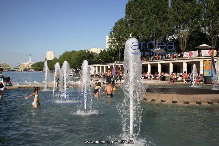 : Children are playing in Bassin de la Villette : Children are playing in Bassin de la Villette