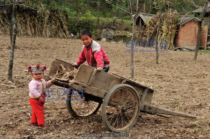: Children - playing with hand wheelbarrow : Children - playing with hand wheelbarrow