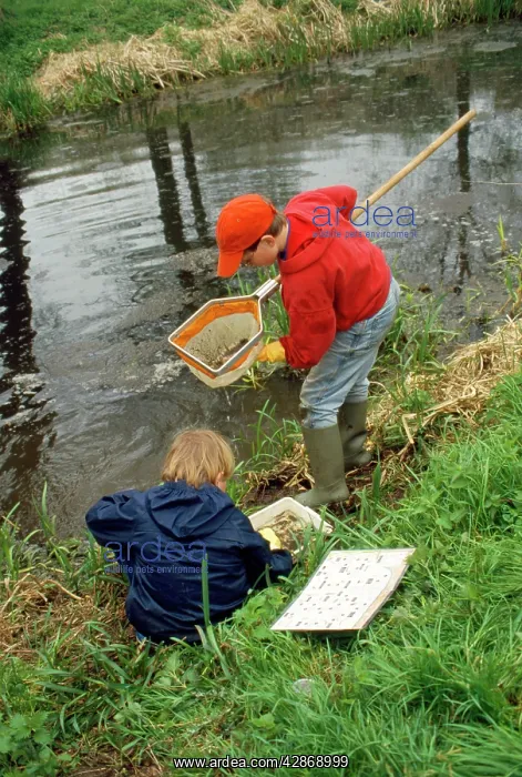 : Children - pond dipping