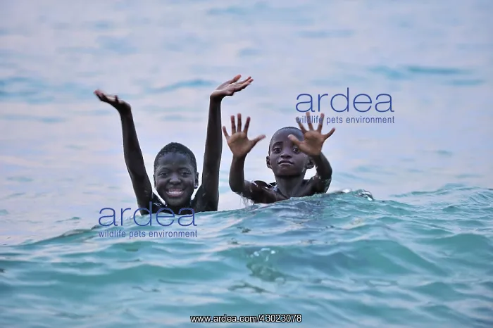 : Children swimming : Children swimming