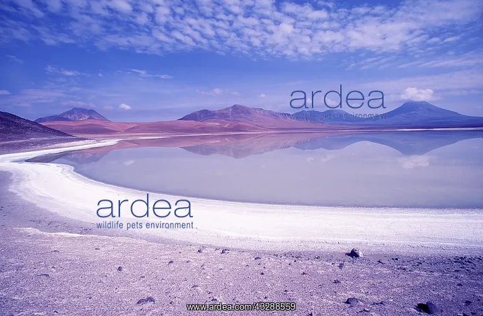  : CHILE - ATACAMA ANDES