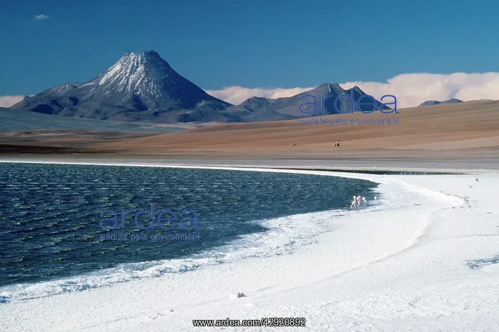 : Chile - Atacama Andes & Lake Legia : Chile - Atacama Andes & Lake Legia