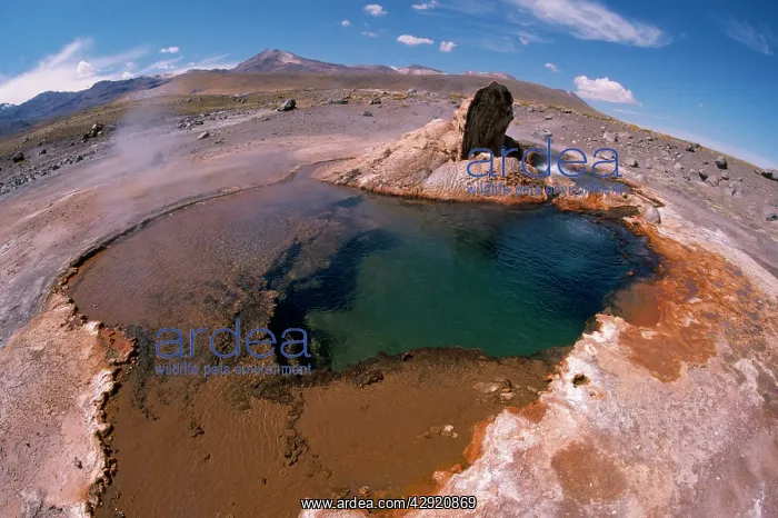 : Chile - Atacama Andes & Tatio Geyser : Chile - Atacama Andes & Tatio Geyser