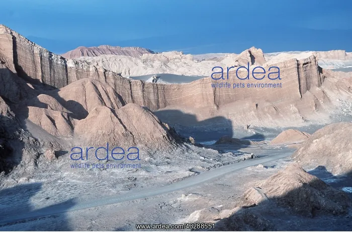 : CHILE - ATACAMA DESERT, Valley of the Moon, the : CHILE - ATACAMA DESERT, Valley of the Moon, the