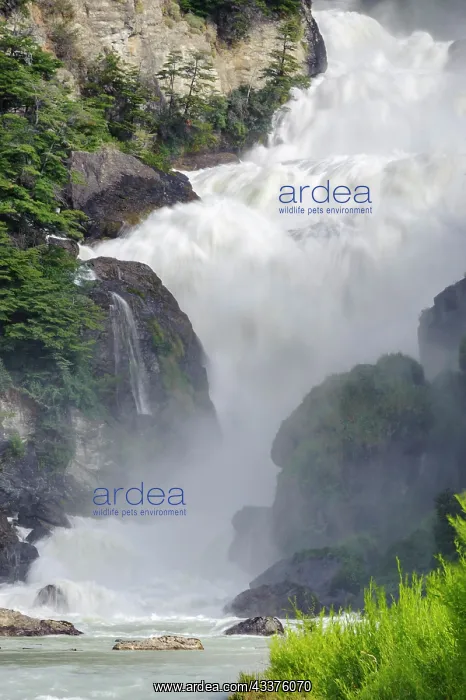 : Chile, Aysen, Cochrane. Waterfall on Rio Salto : Chile, Aysen, Cochrane. Waterfall on Rio Salto