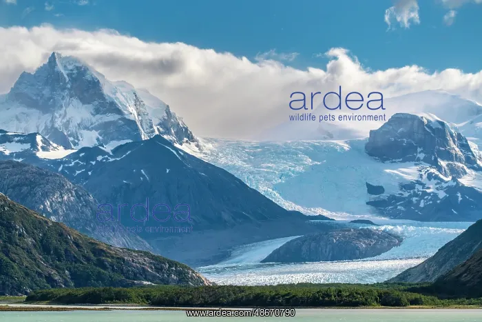: Chile, Beagle Channel, Alberto de Agostini National Park : Chile, Beagle Channel, Alberto de Agostini National Park