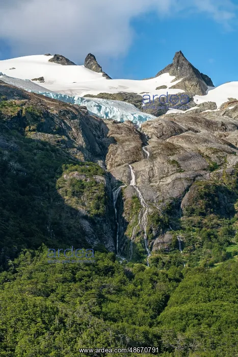 : Chile, Beagle Channel, Alberto de Agostini National Park : Chile, Beagle Channel, Alberto de Agostini National Park