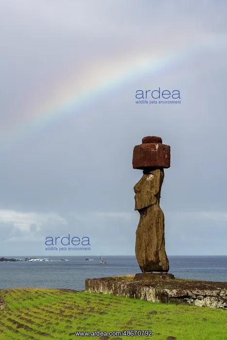 : Chile, Easter Island, aka Rapa Nui, Ahu Tahai. Moai with : Chile, Easter Island, aka Rapa Nui, Ahu Tahai. Moai with