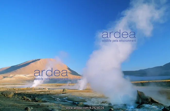 : Chile - El Tatio Geysers - example of fumarole : Chile - El Tatio Geysers - example of fumarole
