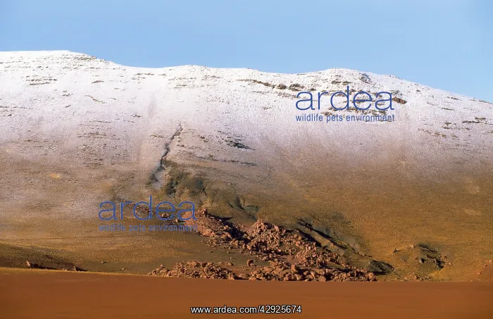 : Chile - fresh snow on altiplano above 4000 m : Chile - fresh snow on altiplano above 4000 m