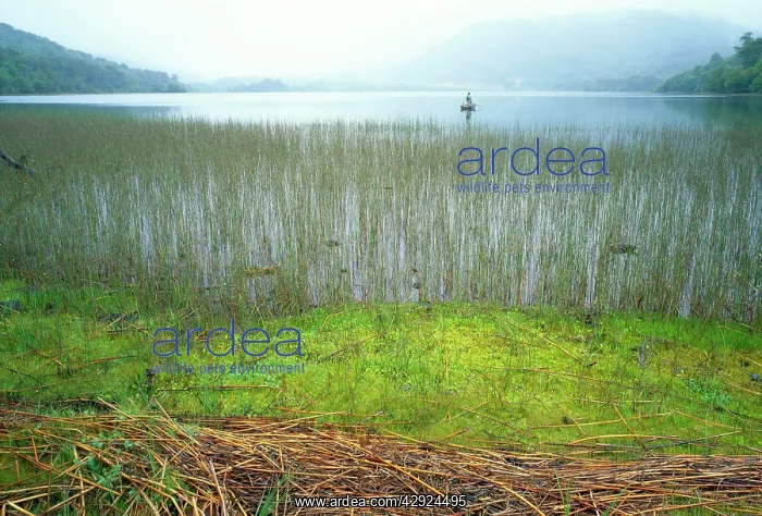 : Chile - the lagoon is popular for it's Trout fishing : Chile - the lagoon is popular for it's Trout fishing