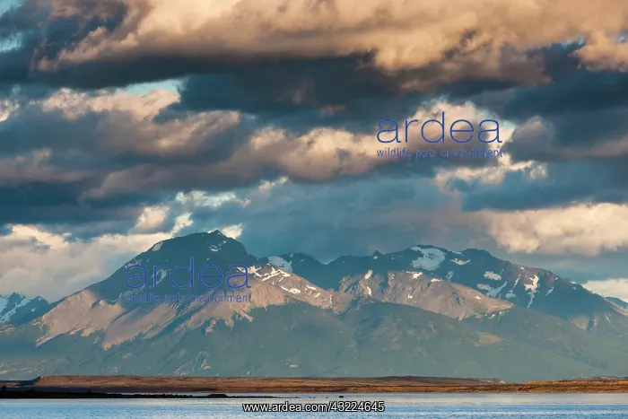 : Chile, Magallanes Region, Puerto Natales : Chile, Magallanes Region, Puerto Natales