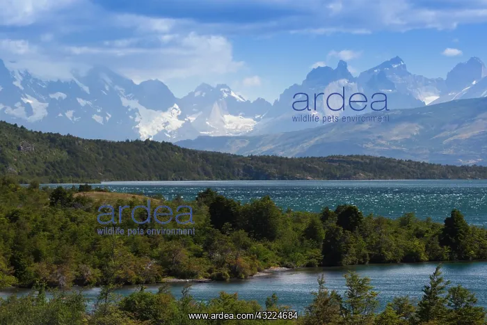 : Chile, Magallanes Region, Torres del Paine : Chile, Magallanes Region, Torres del Paine