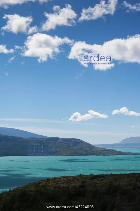 : Chile, Magallanes Region, Torres del Paine : Chile, Magallanes Region, Torres del Paine