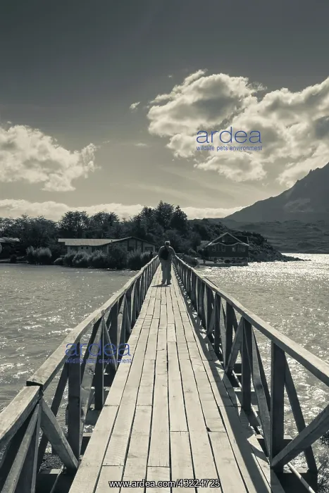 : Chile, Magallanes Region, Torres del Paine : Chile, Magallanes Region, Torres del Paine