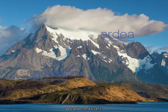 : Chile, Magallanes Region, Torres del Paine : Chile, Magallanes Region, Torres del Paine