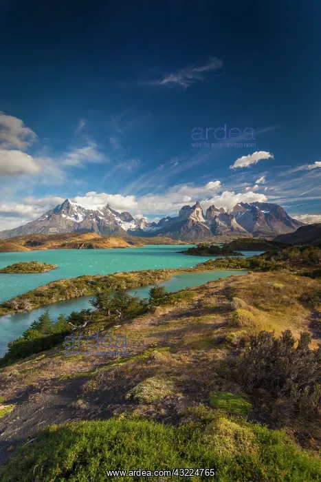: Chile, Magallanes Region, Torres del Paine : Chile, Magallanes Region, Torres del Paine