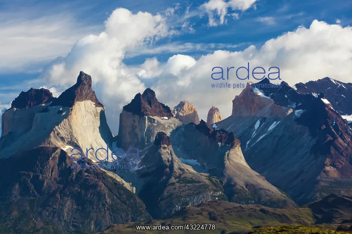 : Chile, Magallanes Region, Torres del Paine : Chile, Magallanes Region, Torres del Paine